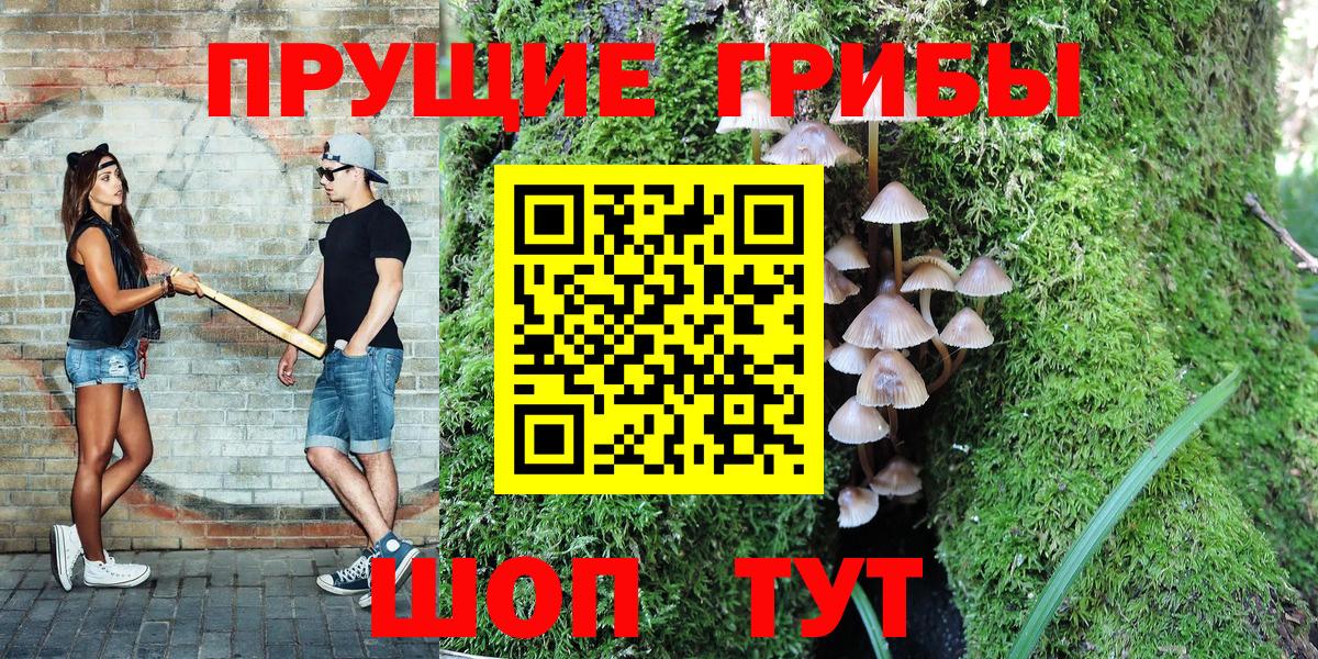 Сибай  Псилоцибиновые грибы Psilocybe  Вход с VPN  Псилоцибиновые грибы Psilocybe 